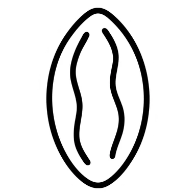 minimalist outlined icon of a tonka bean sticker