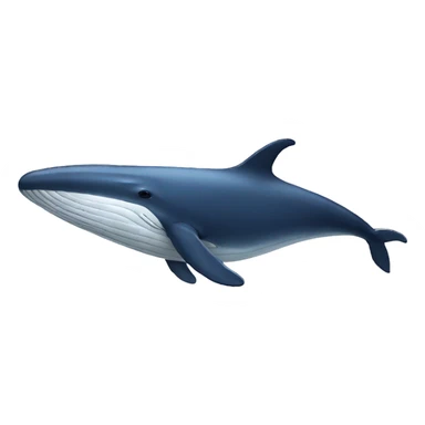 whale sticker