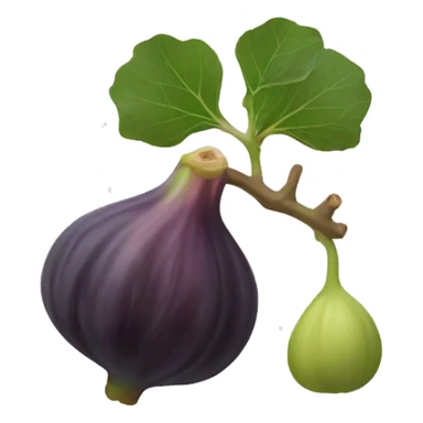 fig the fruit sticker