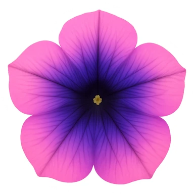 Pink-Violet-Indigo-Purple-Gradient Petuniaemoji    , remove background sticker