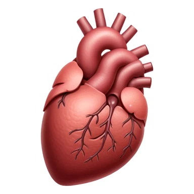 liver organ, standard sticker