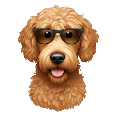 Light brown Golden doodle wearing sunglasses sticker