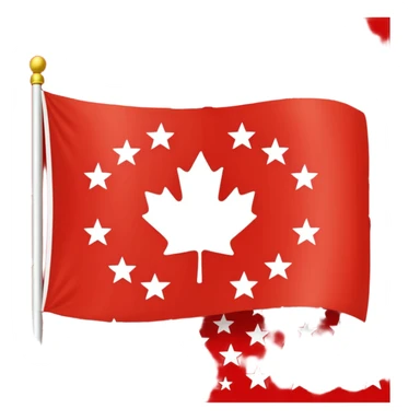 Chinar flag it has 80,000 stars sticker