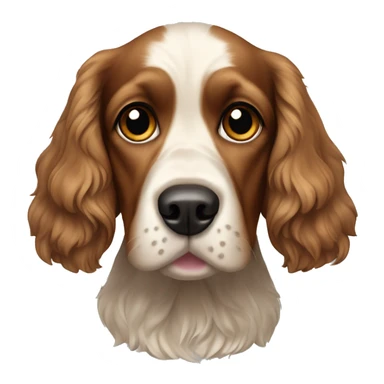Cocker spaniel Hund  sticker