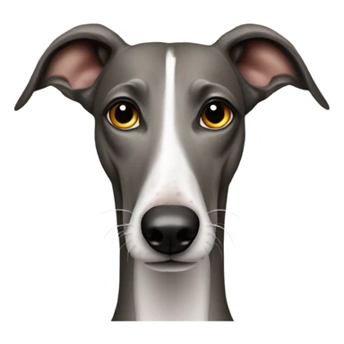 galgo do sticker