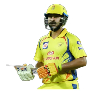 Chennai super kings in Indian premier league cricket sticker