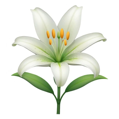 Lily flower sticker