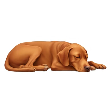 Vizsla sleeping sticker