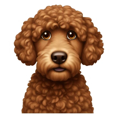 Brown pudel  sticker