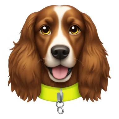 chestnut brown long haired dog with high vis yellow collar  sticker