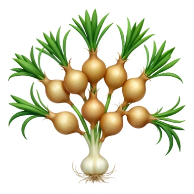 Small onions bunch sticker