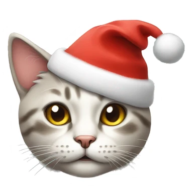 Cat with christmas hat sticker