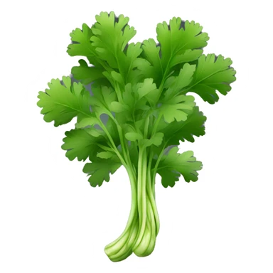 Cilantro with black background sticker