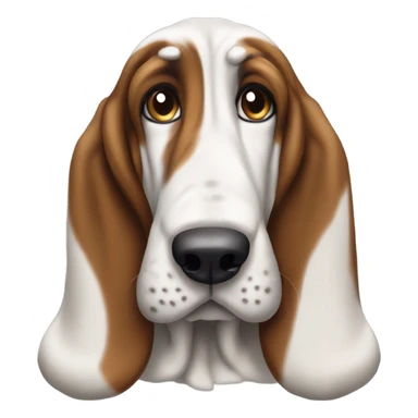 a basset hound sticker