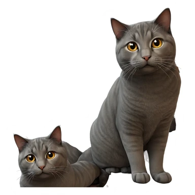 realistic indoor cat portrait sticker