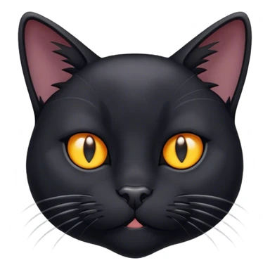 Cold black cat sticker