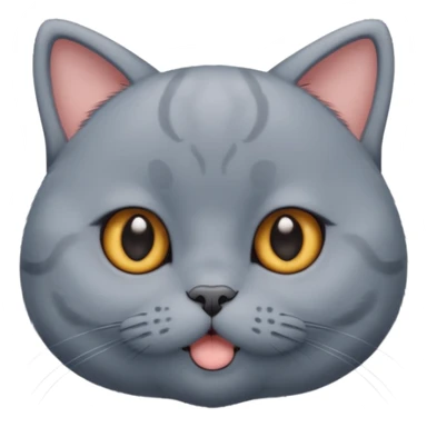 英短蓝猫可爱的表情 sticker