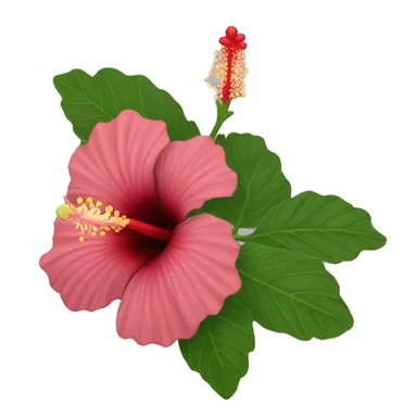 A hibiscus  sticker