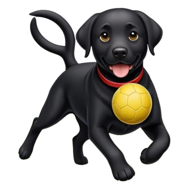 black lab playing ball  sticker