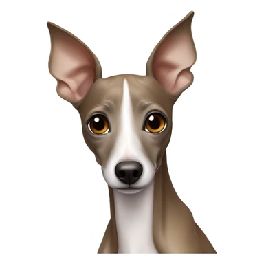 Fawn Italian greyhound sticker