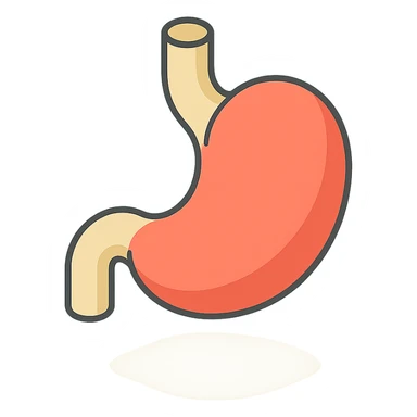 stomach, 2D isometric style, minimalist background, soft shadows and highlights, transparent background, infographic stylized variant sticker