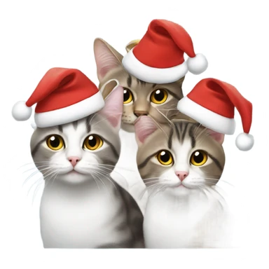 3 cats wearing Santa hats  sticker
