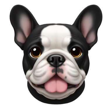 all black fat french bulldog sticker