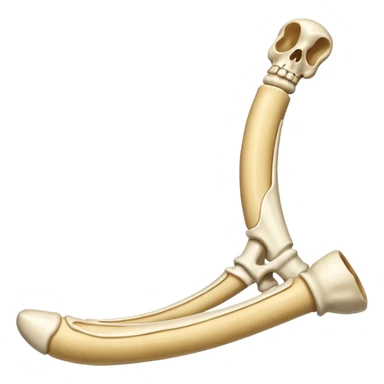 long bones sticker