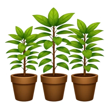 plantas en macetas rectangulares color café sticker