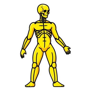Full human body, anatomical figure, standing pose sticker