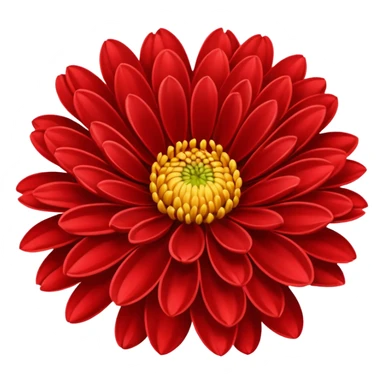 chrysanthemum flower full red sticker