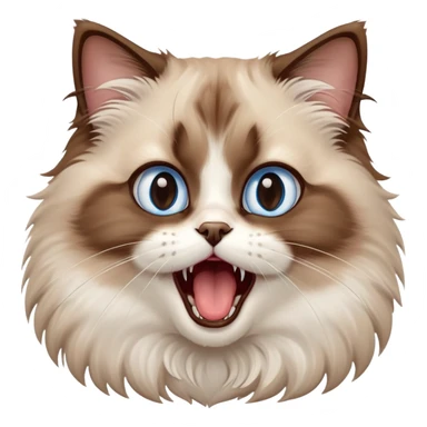 cinematic-adorable-big-eyed-fluffy-brown ragdoll-cat-portrait-emoji,-head-tilted-playfully-with-a-cute,-yawn,-white and brown fur,-simplified-yet-irresistibly-cute-features, blue eyes sticker