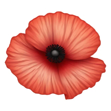 Poppy flower sticker