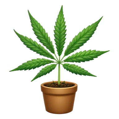 Cannabis sticker