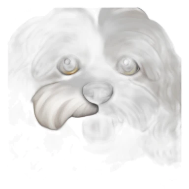cavachon sticker