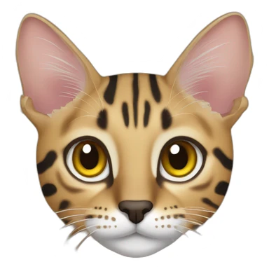 Savannah Cat sticker
