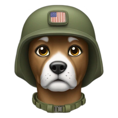 military coala sticker