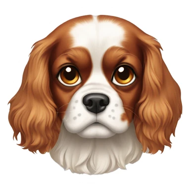 Cavalier King Charles spaniel with a spot on his forehead sticker