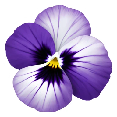 Pansy flower sticker