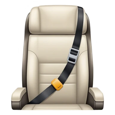 plane seat belt sticker