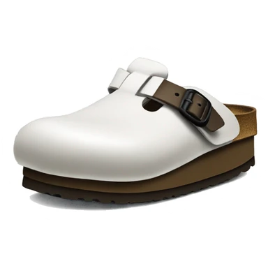 two Birkenstock boston clogs with socks sticker