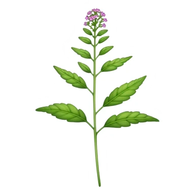 single Verbena stem sticker