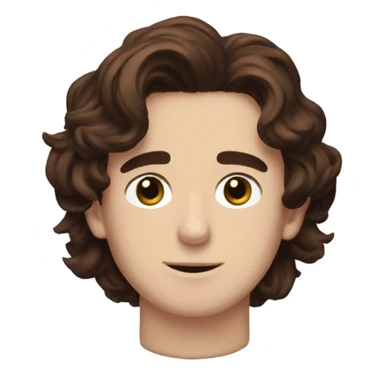 timothee chalamet with brown hair  sticker