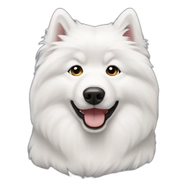 samoyede sticker