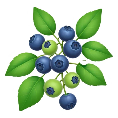 Blueberry vine sticker