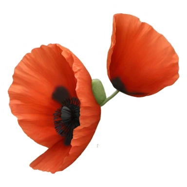 A red poppy flower sticker