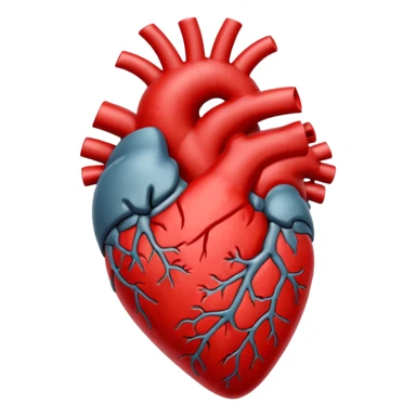 anatomical hear sticker