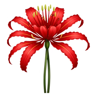 Lycoris Radiata red spider lily flower sticker