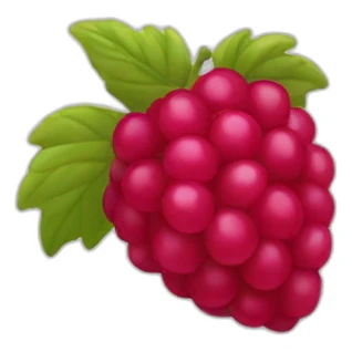 Fruit framboise sticker