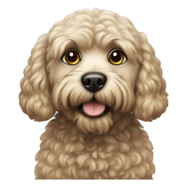 dog pudel sticker